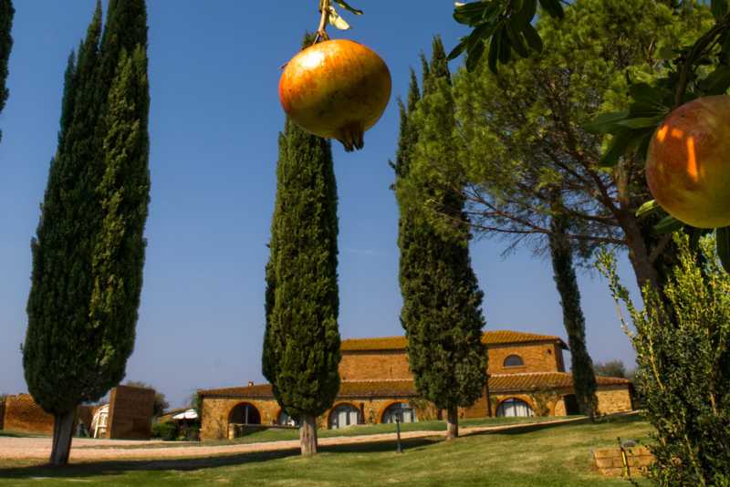 Convegno di diritto agroalimentare