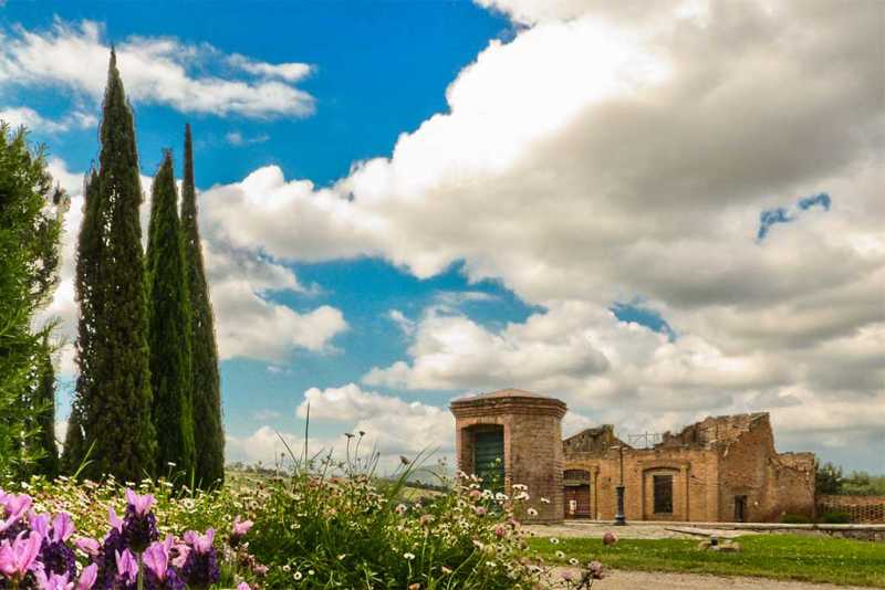 cipressi e cielo all'agriturismo grosseto